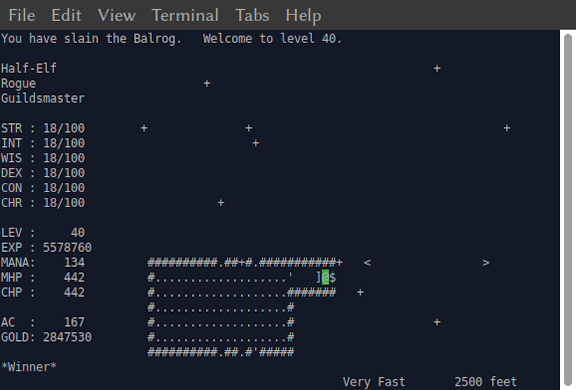 Moria screen in the Linux terminal. Everything is represented by typography.