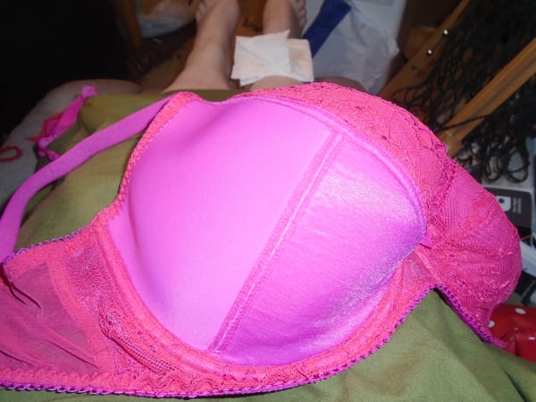 This is a fuchsia pink Gossard Superboost Lace bra which has been taken apart to show the structure.