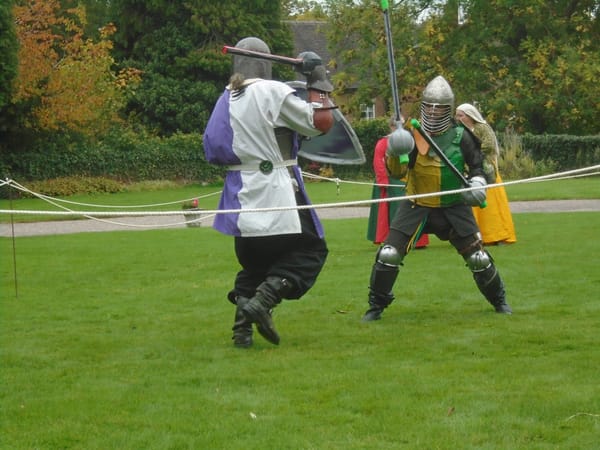 Alexandre wears purple and white; he uses a sword and shield.  Nicholas wears green and yellow; he uses two swords.